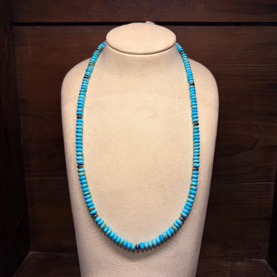 Sagebrush Crossing Necklace