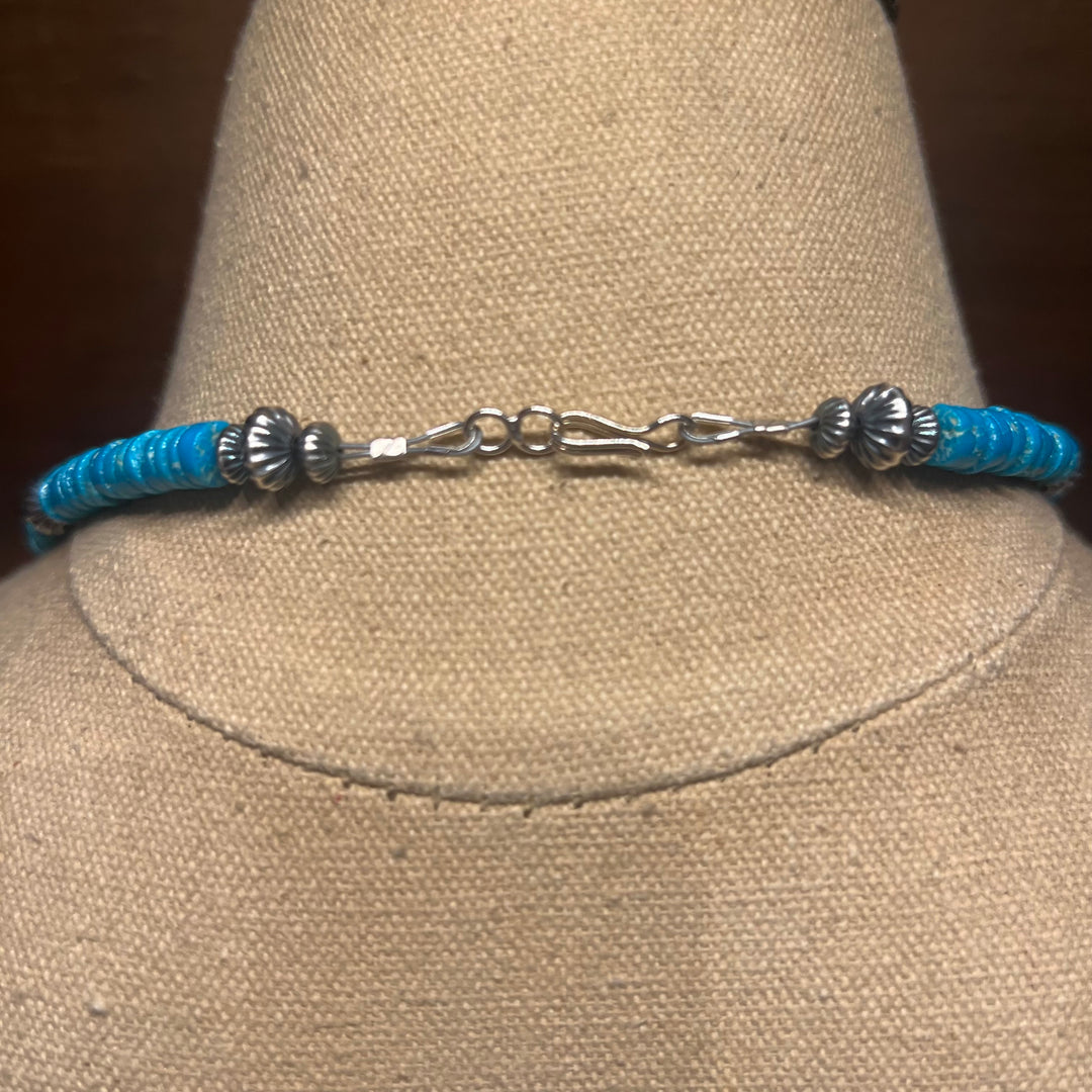 Turquoise Heshi and Mixed Navajo Pearls