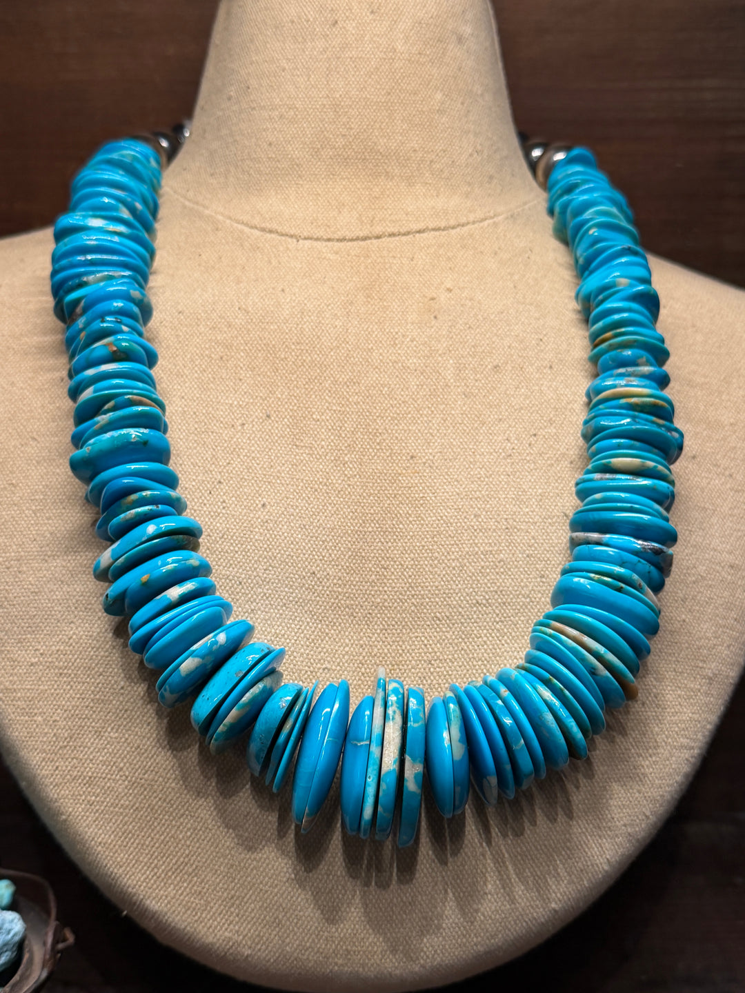 High Desert Necklace