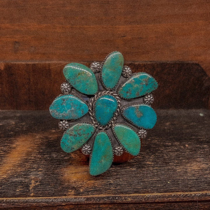 Campitos Cluster Ring