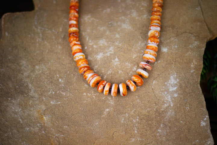 Graduated Orange Spiny with Brown Shell Necklace 19"