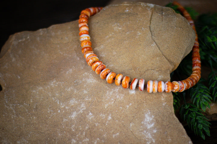 Graduated Orange Spiny with Brown Shell Necklace 19"