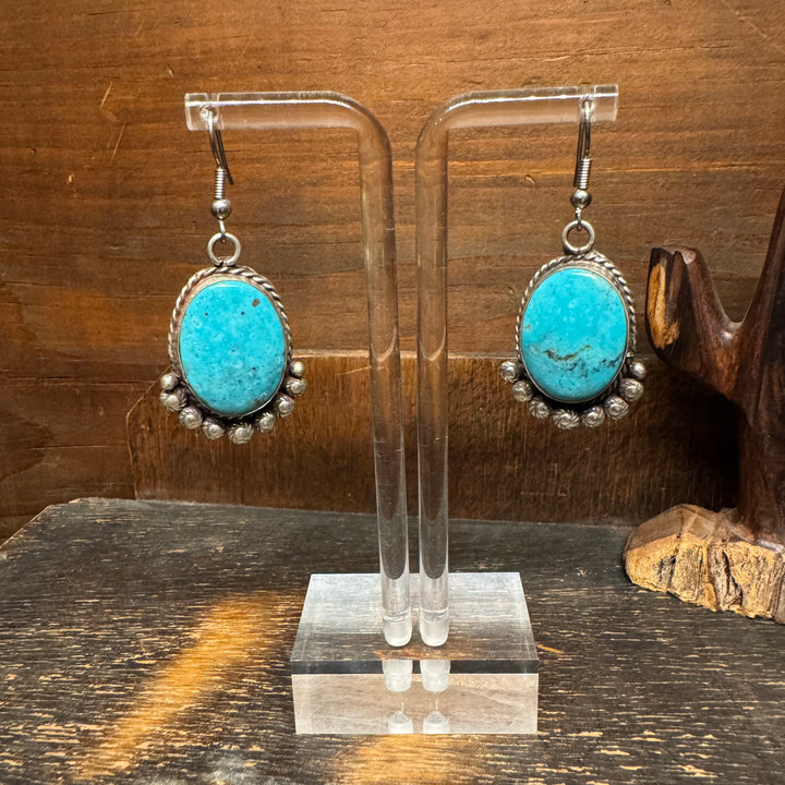 Turquoise Oval Dangle Earrings