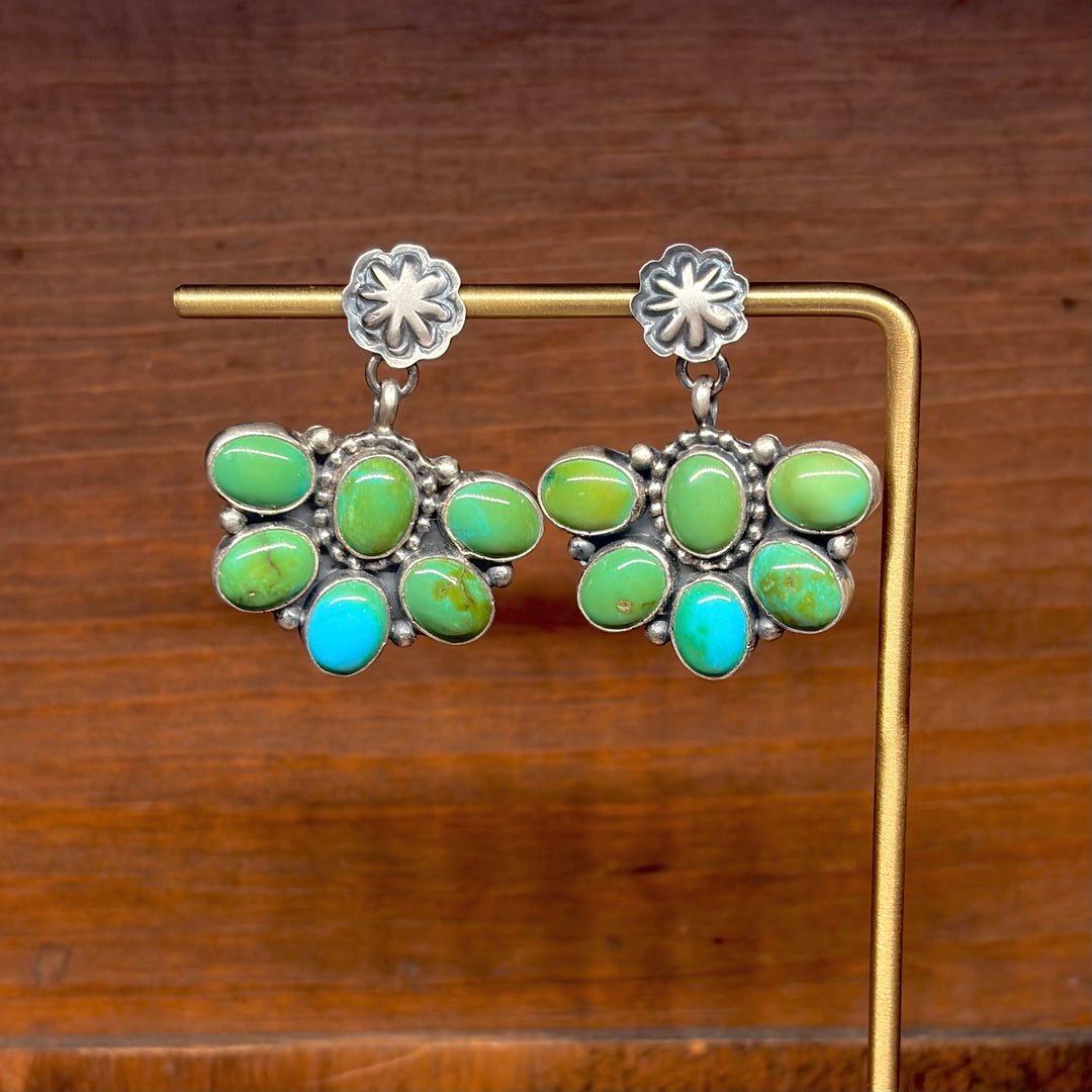 Medicine Bow Earrings