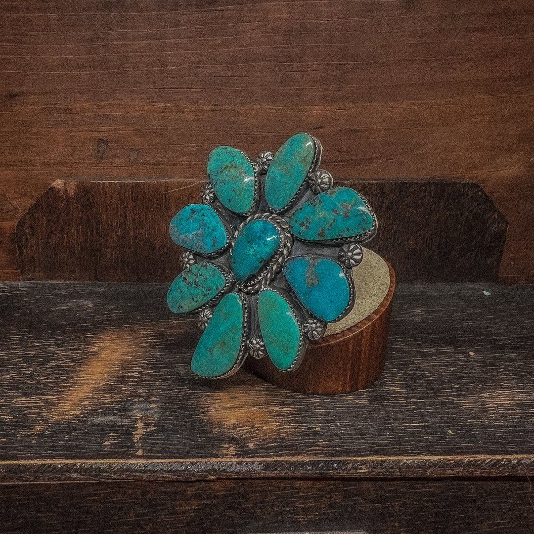 Campitos Cluster Ring