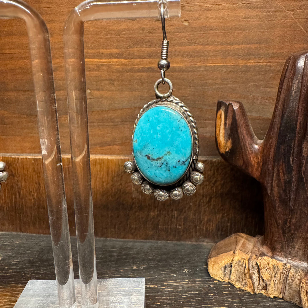 Turquoise Oval Dangle Earrings