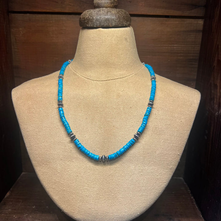 Turquoise Heshi and Mixed Navajo Pearls