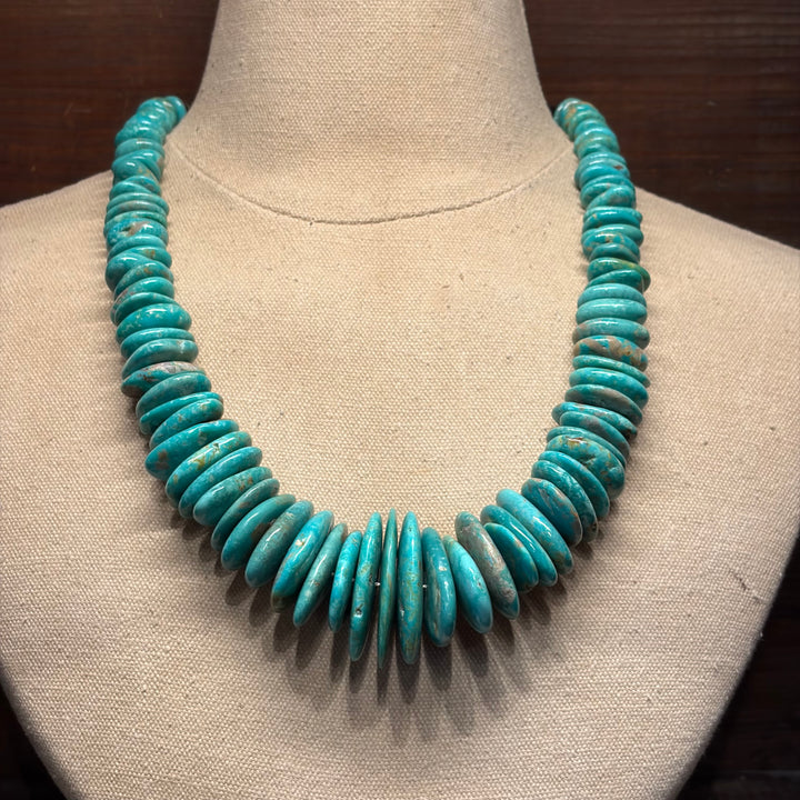 Untamed Horizon Necklace