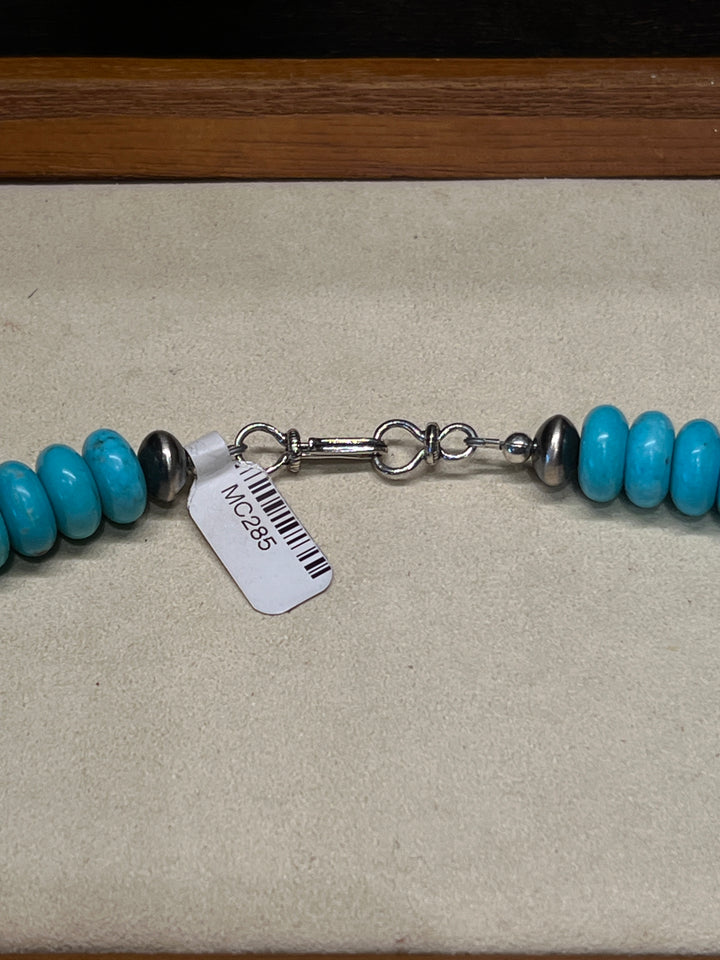 Sleeping Beauty Turquoise with 9mm Saucer Beads 21"