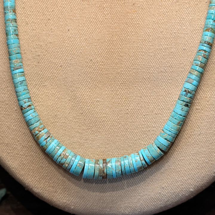 Silver Spur Necklace