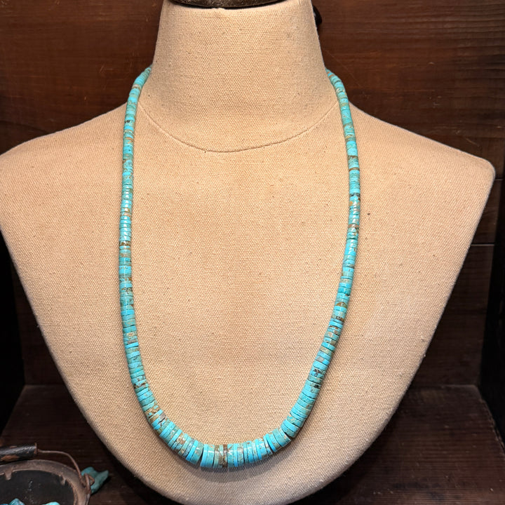 Silver Spur Necklace