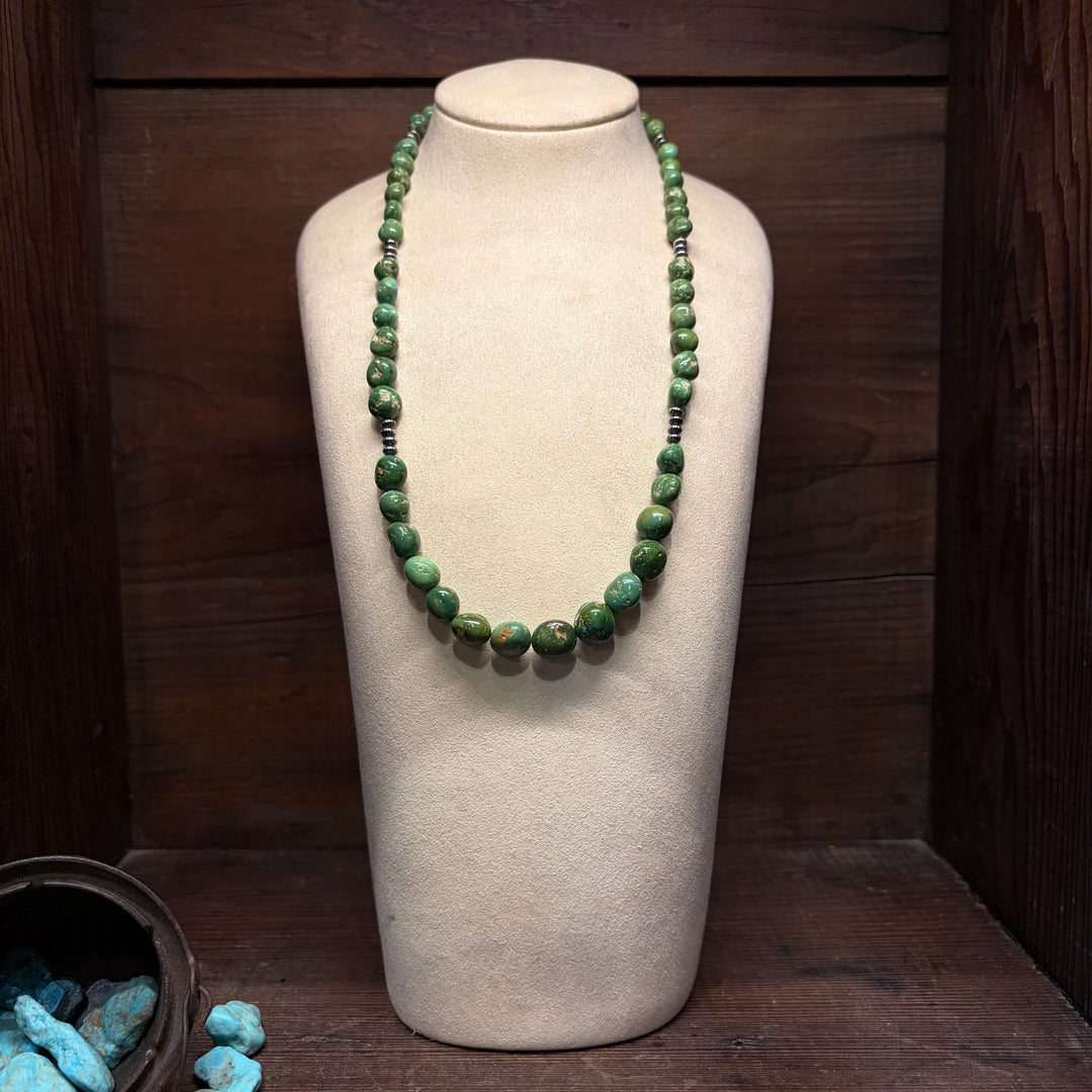 Turtle Mountain Necklace