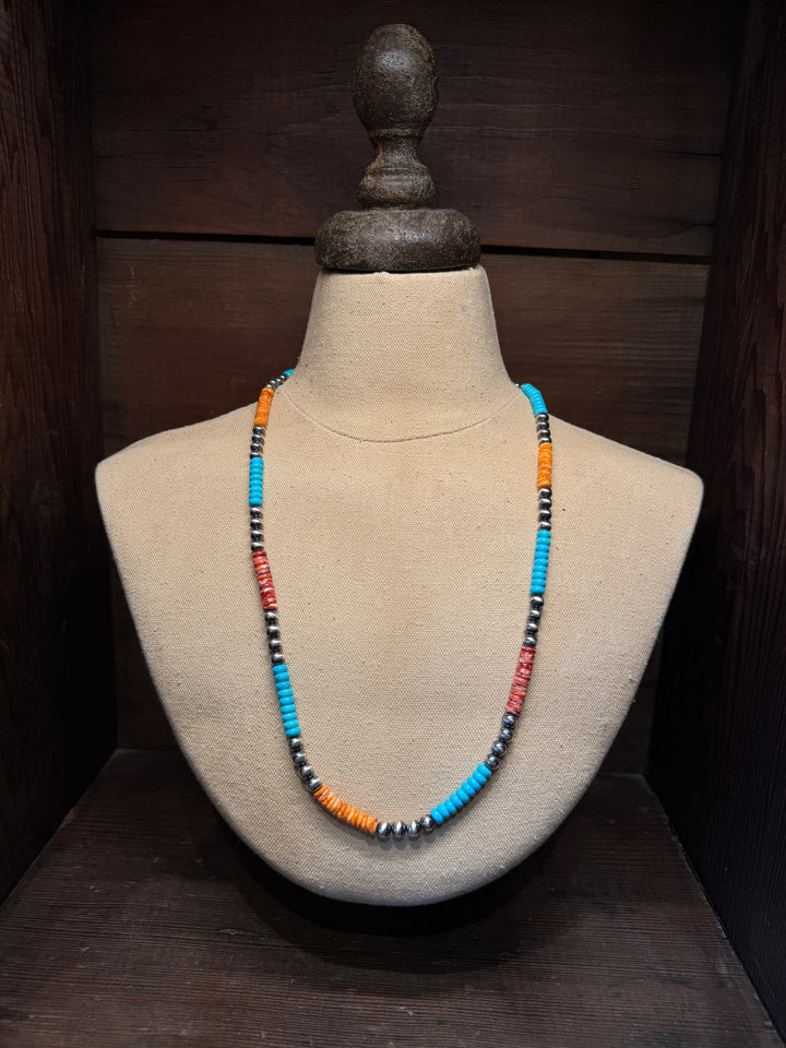 Painted Desert Necklace