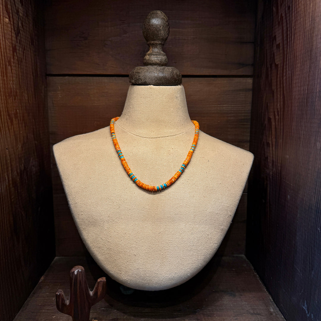Desert Sunrise Heishi Necklace