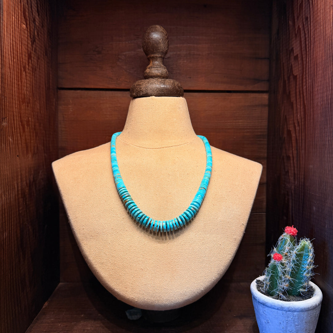 Turquoise Horizon Necklace