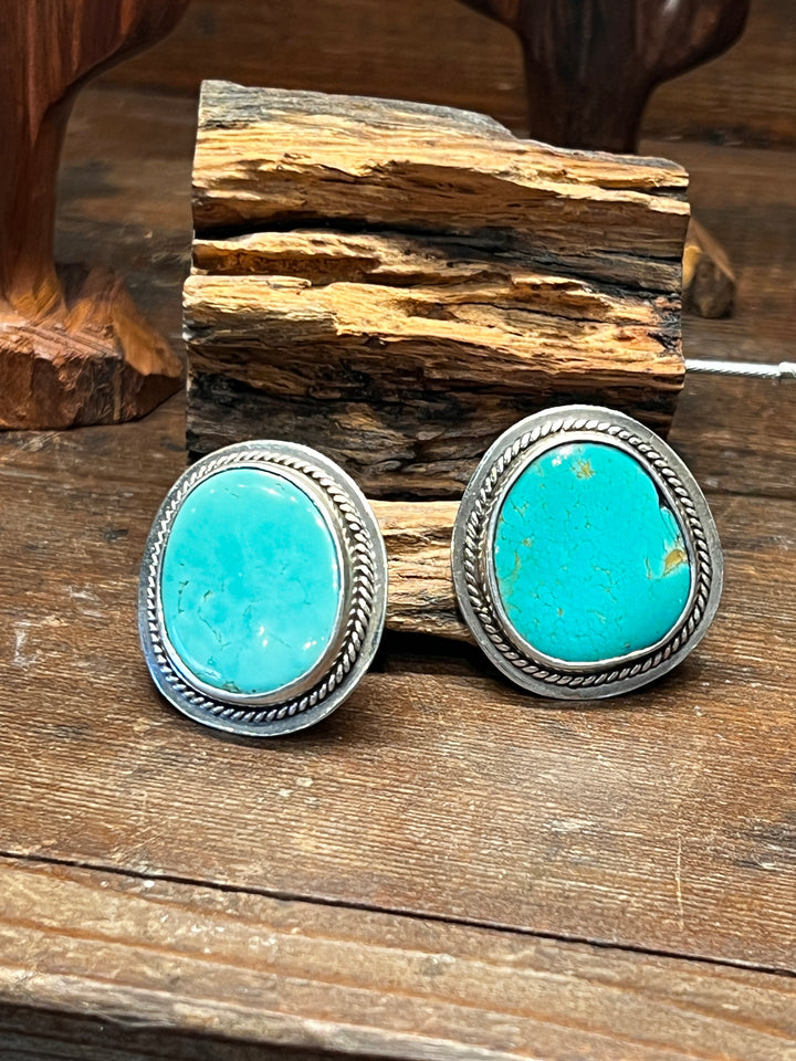 Blue Gem Turquoise Medium Round Earrings