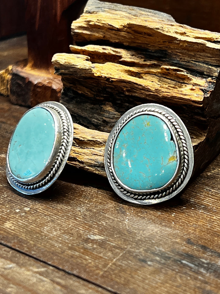 Blue Gem Turquoise Medium Round Earrings