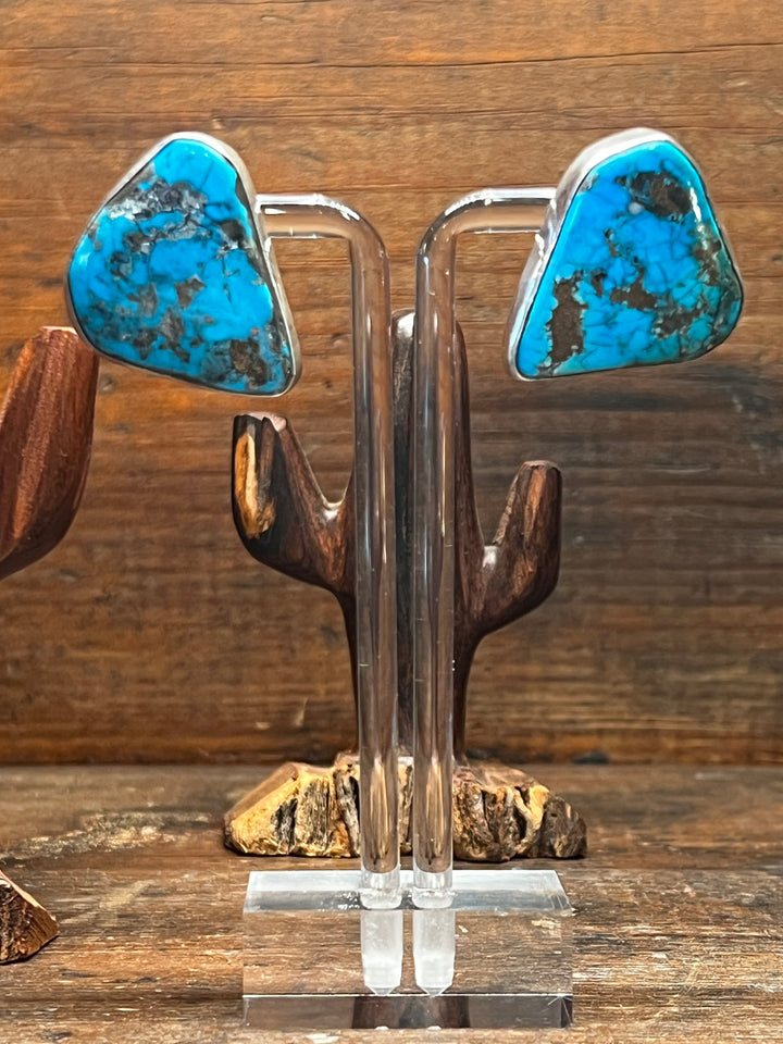 Blue Gem Turquoise Medium Diamond Earrings