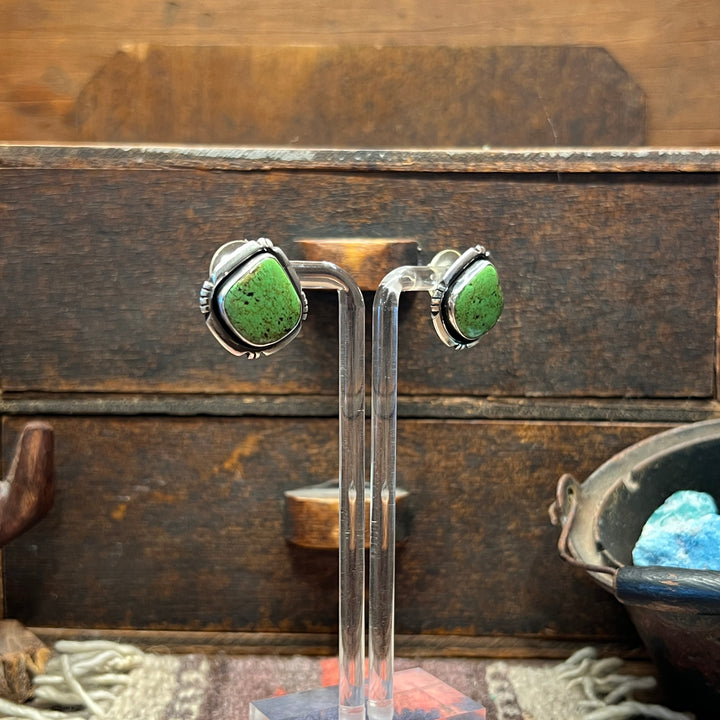 Carico Lake Turquoise Earrings