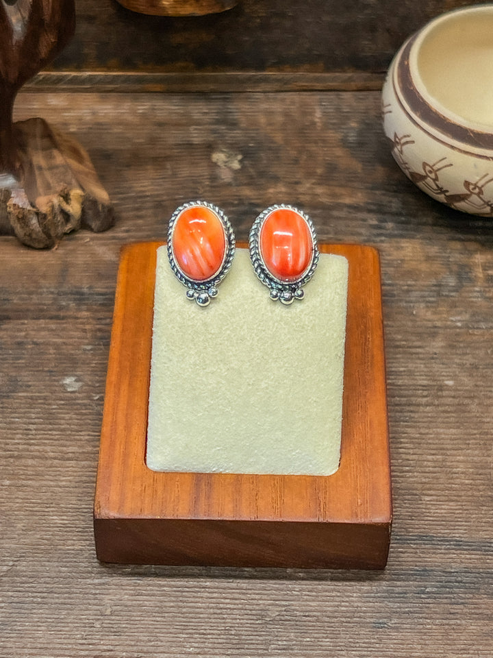 Red Spiny Oyster Studs