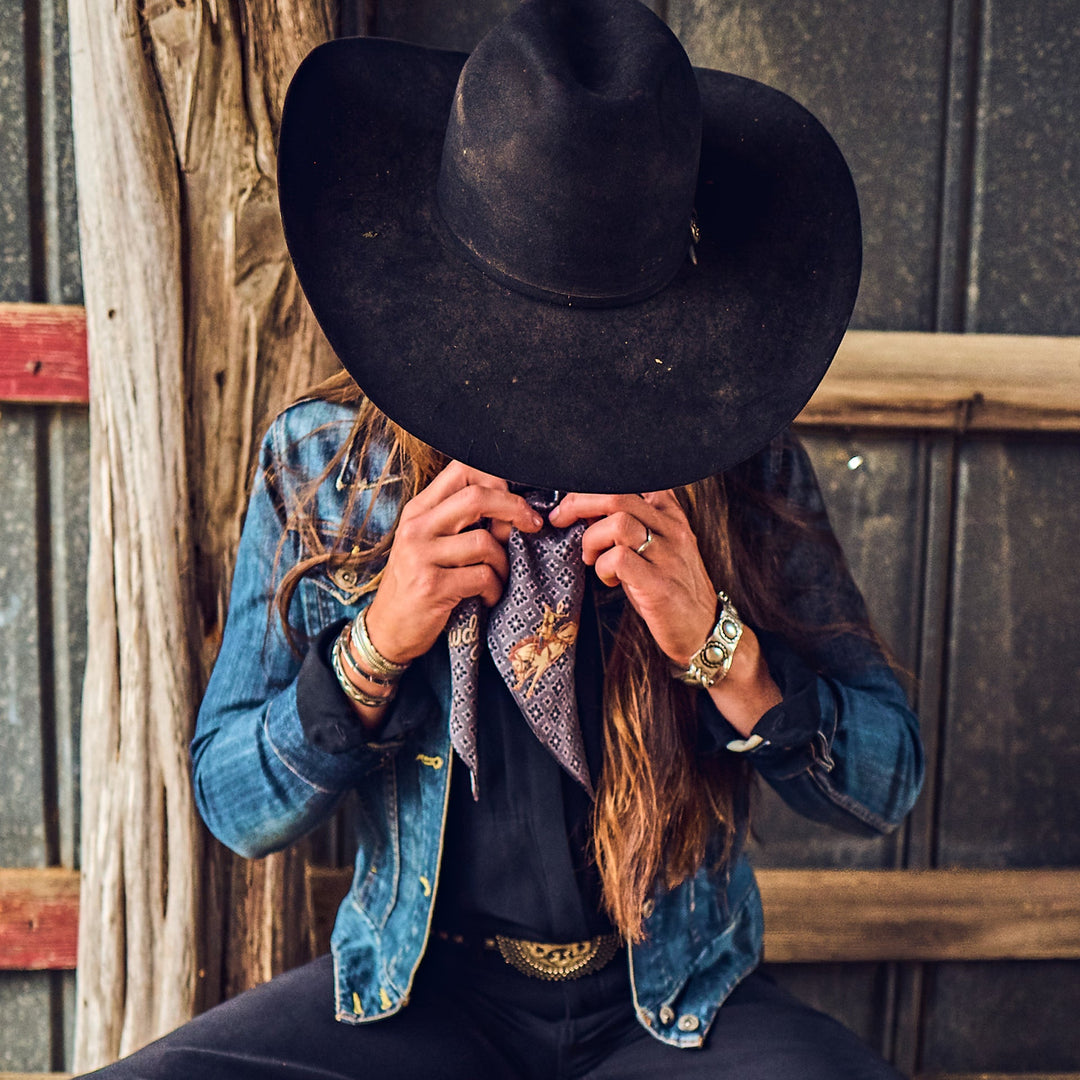 PONY EXPRESS - HOWDY