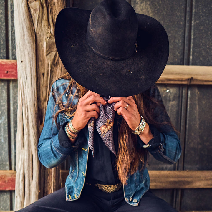 PONY EXPRESS - HOWDY